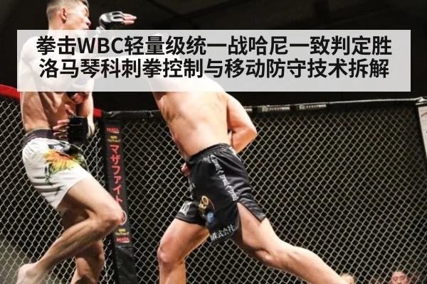 拳击WBC轻量级统一战哈尼一致判定胜洛马琴科刺拳控制与移动防守技术拆解